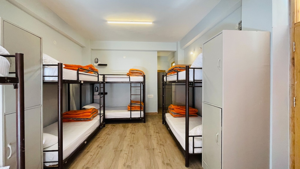 Shared Dormitory - Superior 12 bed Mixed Ensuite photo 3