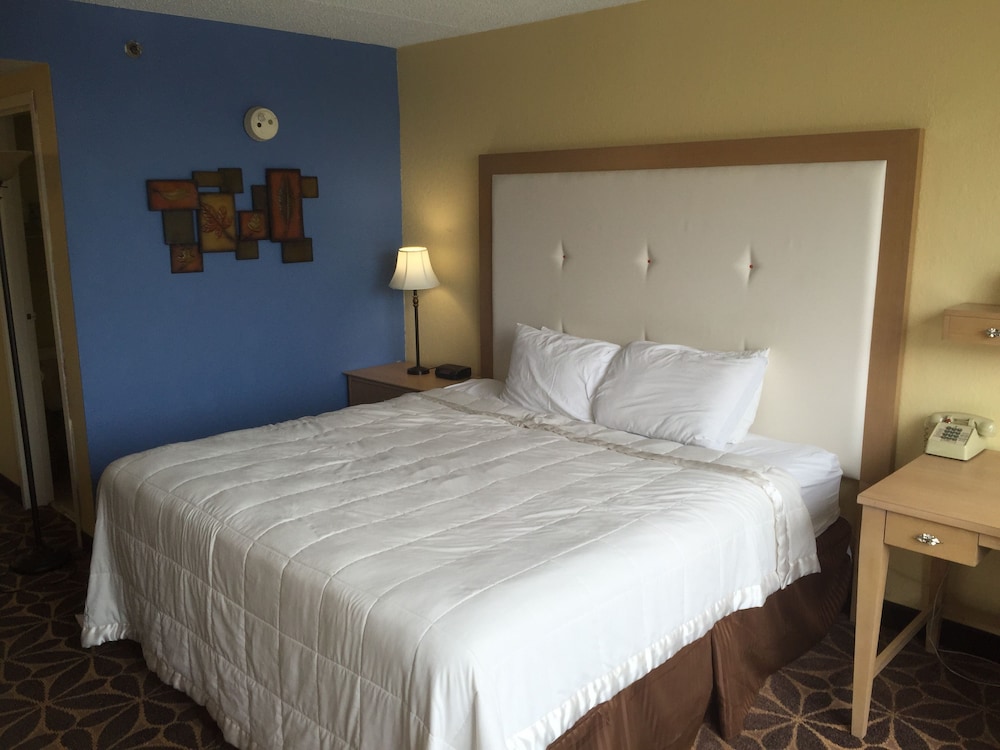 Standard Room, 1 King Bed - Photo 8