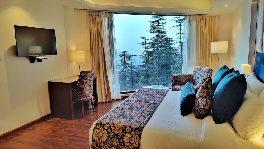 Executive Studio Suite - Photo 12