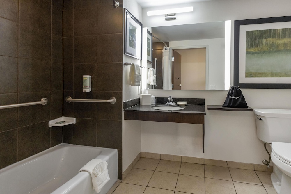 Standard Room, 1 King Bed, Accessible, Refrigerator & Microwave (Dining Table) - Photo 4