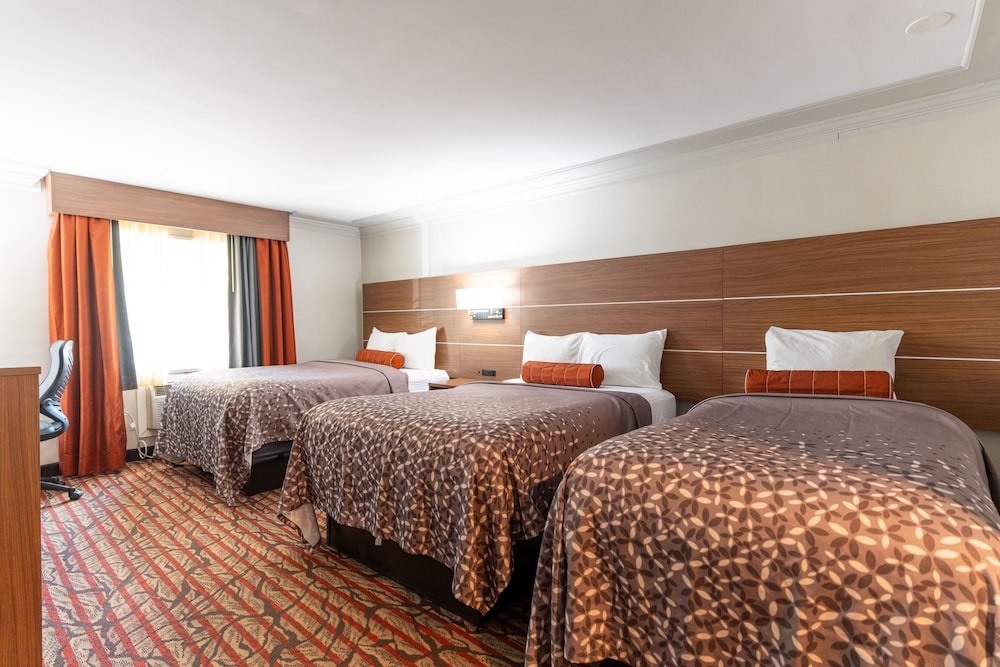 Deluxe Room, Multiple Beds photo 1