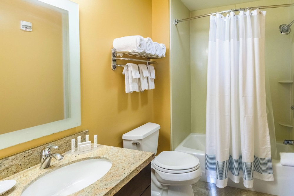 Suite, 2 Bedrooms - Photo 6