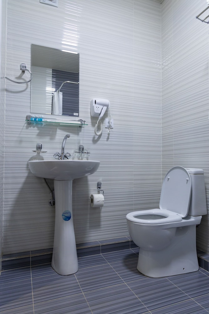 Deluxe Double or Twin Room photo 1