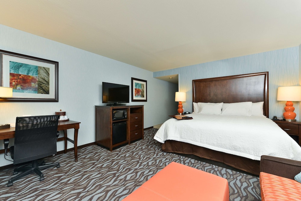 Room, 1 King Bed, Refrigerator & Microwave photo 1