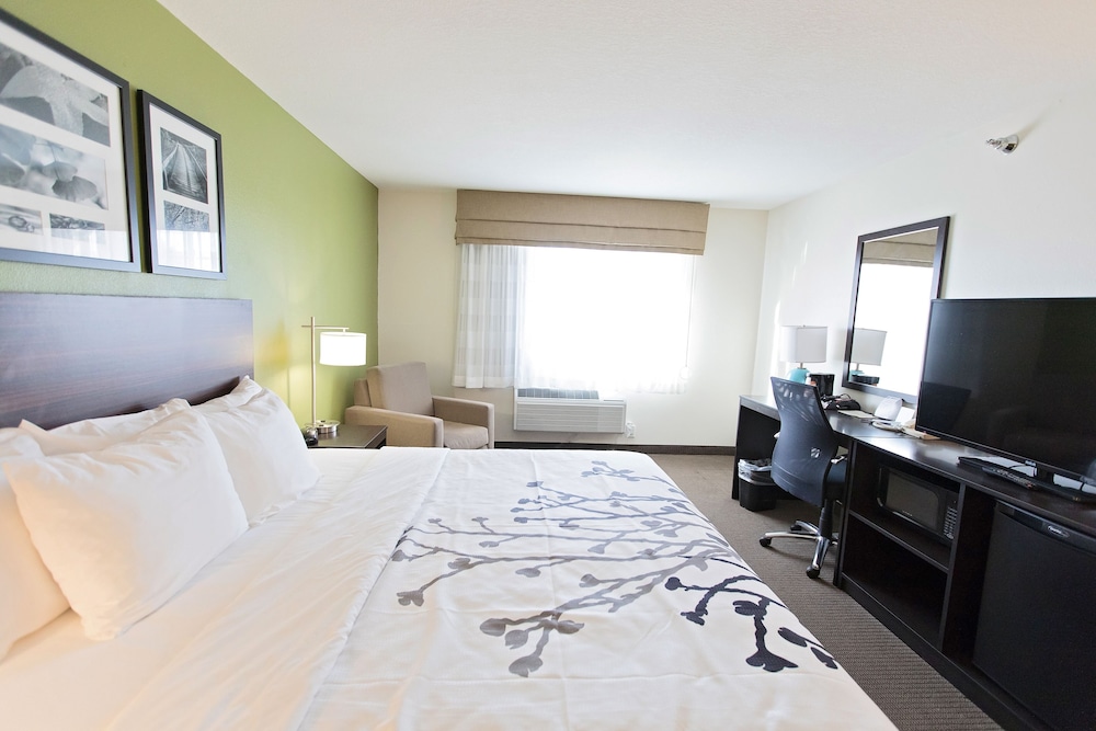 Standard Room, 1 King Bed, Accessible, Non Smoking - Photo 8
