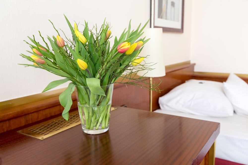 Comfort Room - Photo 13