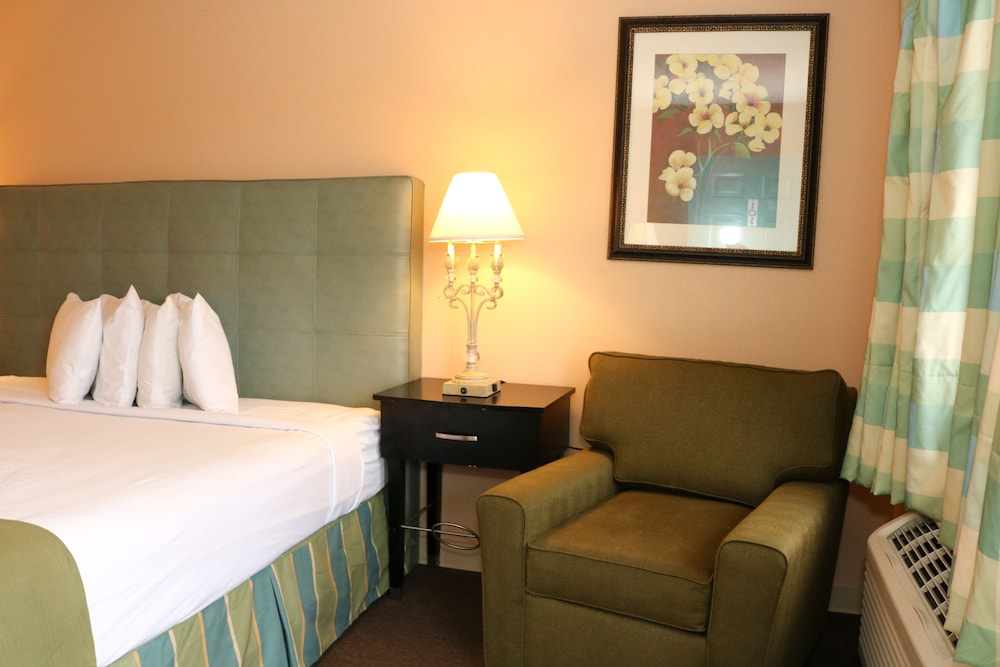 One King Bed, Non-Smoking photo 2