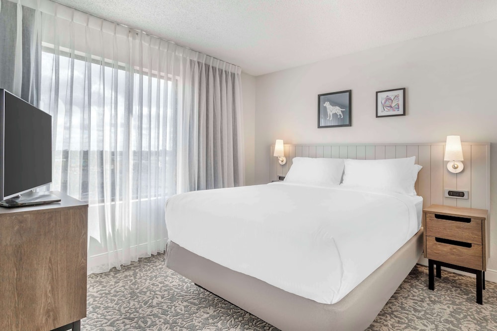 Suite, Multiple Beds, Accessible (Mobility Roll in Shower Two Bedrooms)