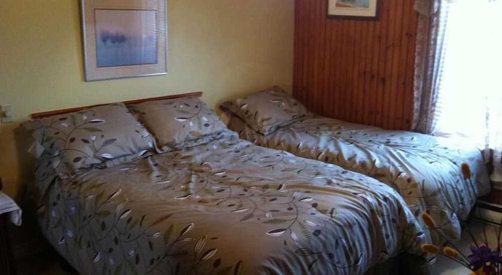 Room, 1 Double, 1 Single And 1 Folding Bed photo 3