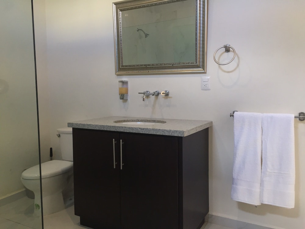 Premium Suite, 1 King Bed, Kitchen photo 3