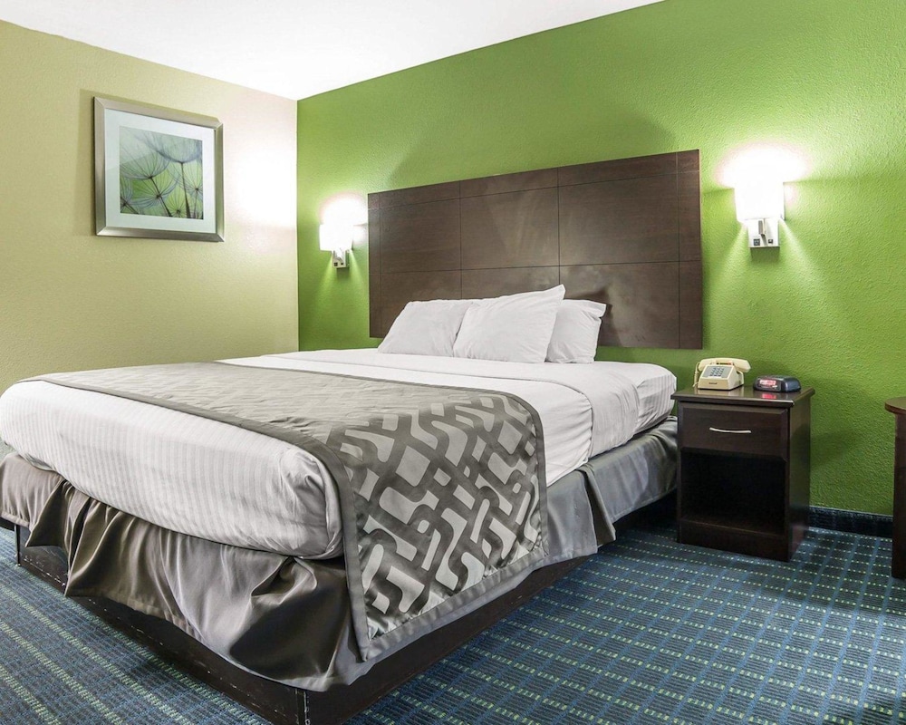 Room, 1 Queen Bed, Accessible, Non Smoking photo 2