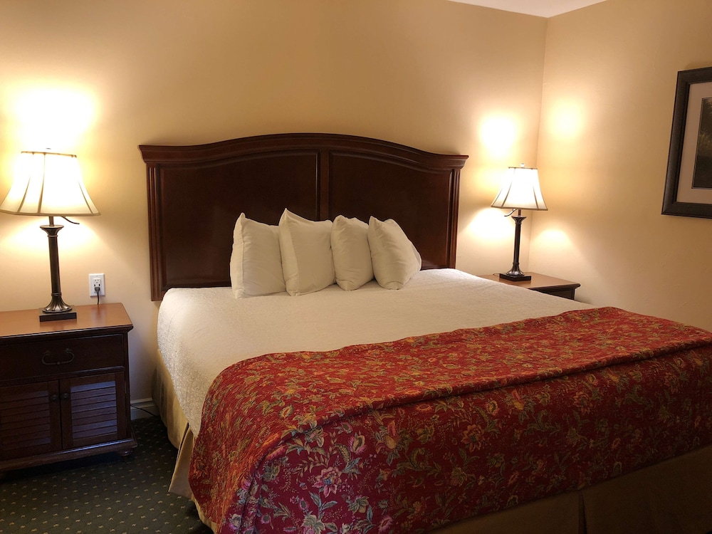 Suite, 1 King Bed, Non Smoking, Refrigerator & Microwave photo 2