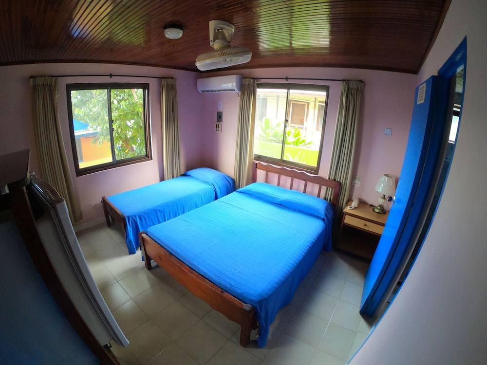 Traditional Double Room, Garden View photo 1