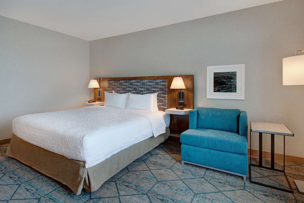 Standard Room, 1 King Bed, Accessible, Bathtub (Mobility & Hearing) - Photo 3