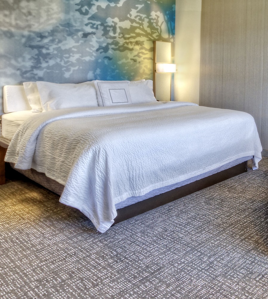 Suite, 1 King Bed with Sofa bed (Mobility/Hearing Access, Transf Shwr) photo 1