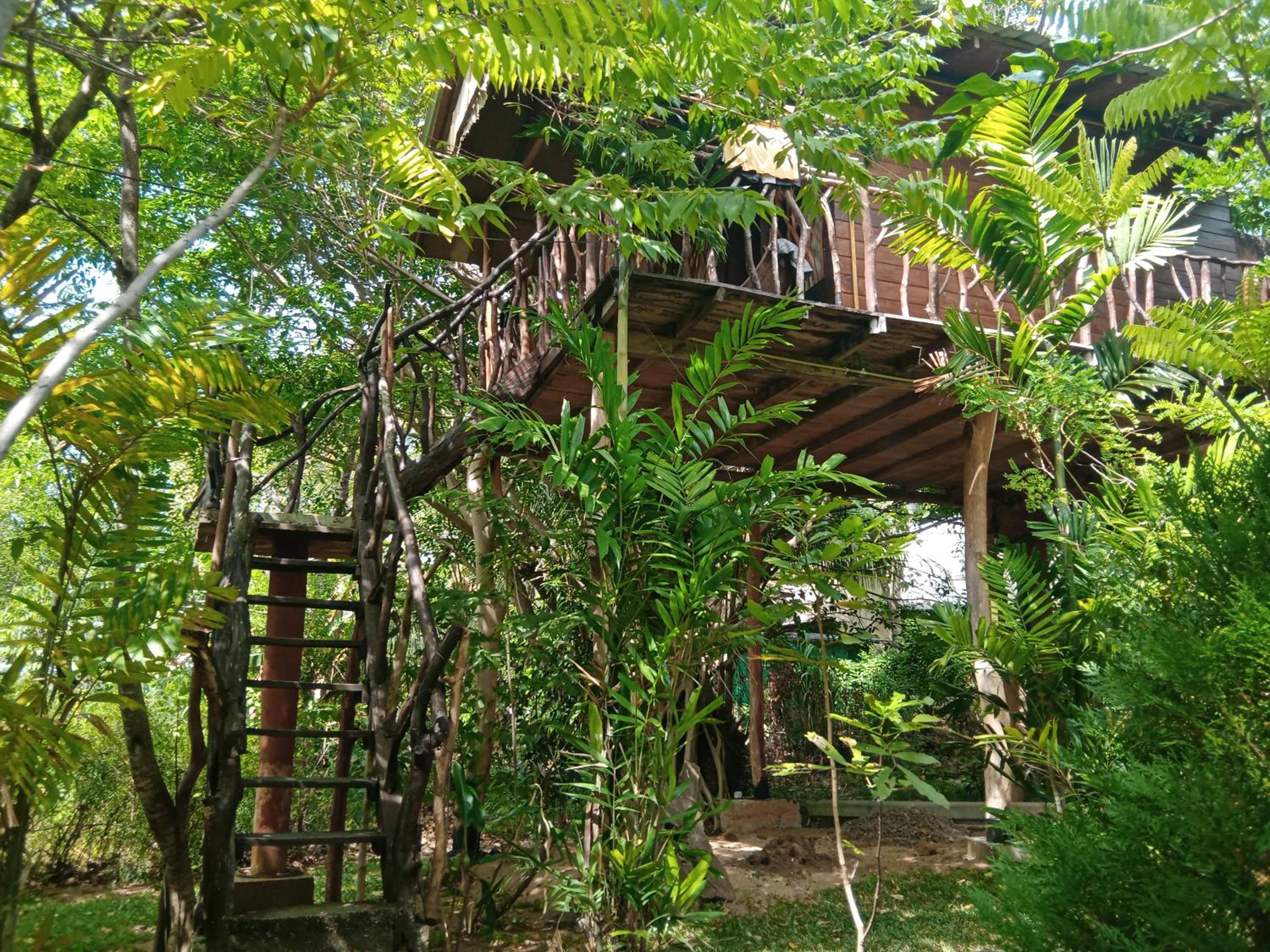 Double Room with Mountain View photo 2