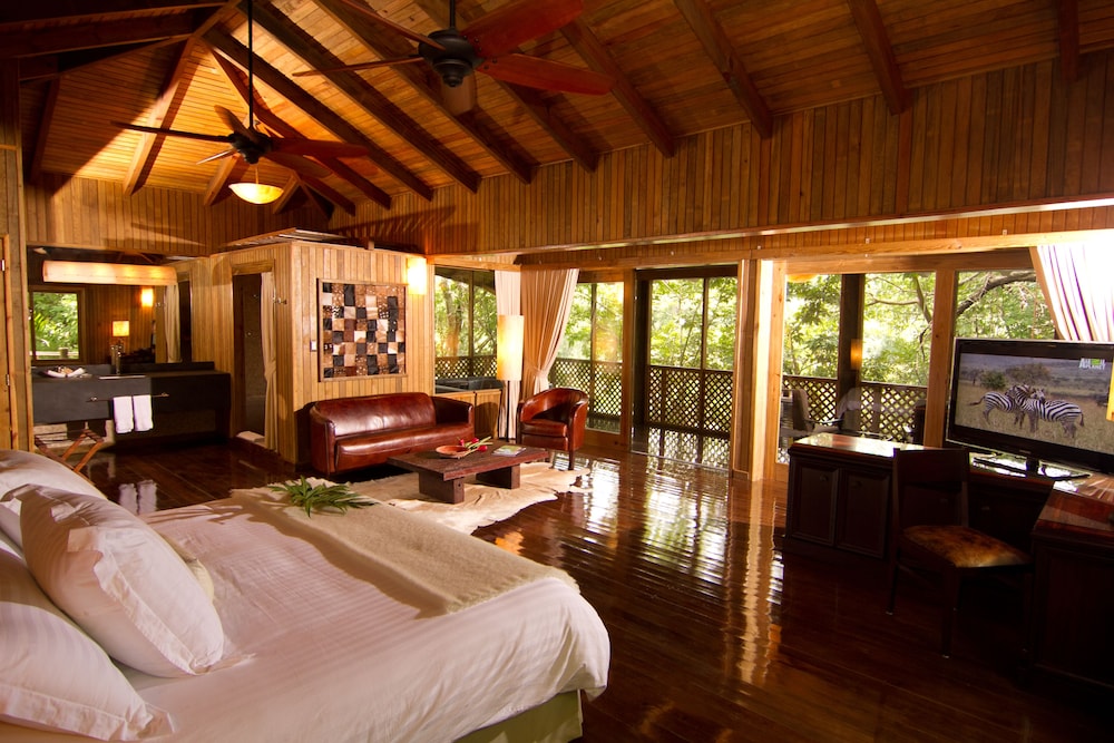 C Master Suite Single photo 2