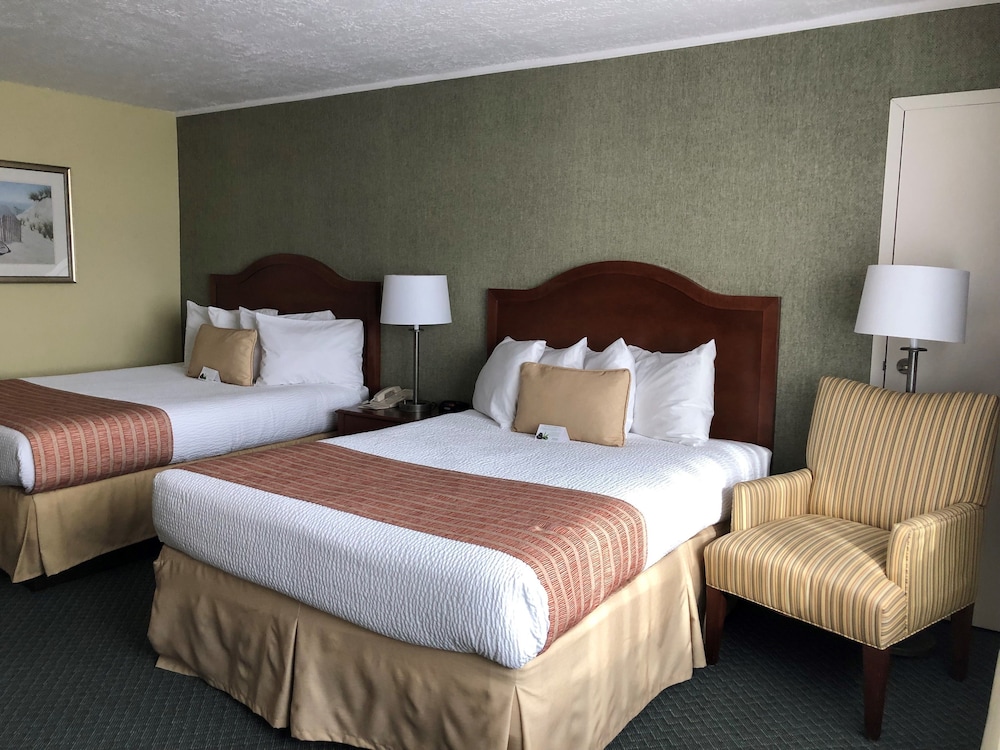 Standard Room, 2 Double Beds, Non Smoking