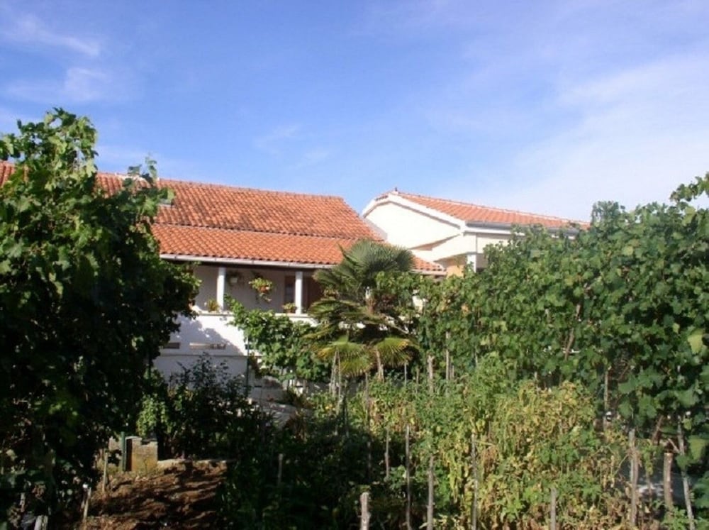 Apartment (Kuzma - afordable - A1(2+2))