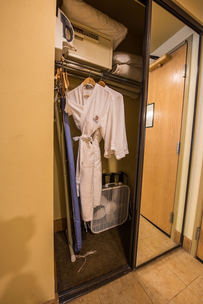 Studio, Multiple Beds (Emmons) - Photo 8