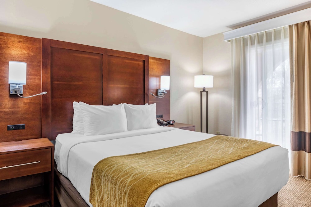 Room, 1 Queen Bed, Non Smoking photo 2