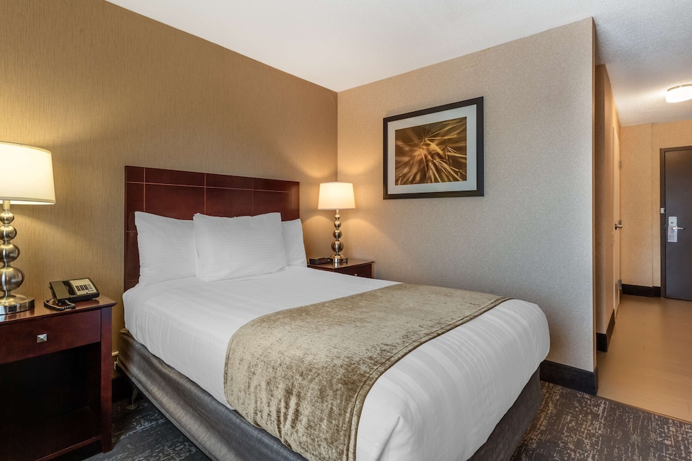 Standard Room, 1 Queen Bed, Accessible, Non Smoking - Photo 3