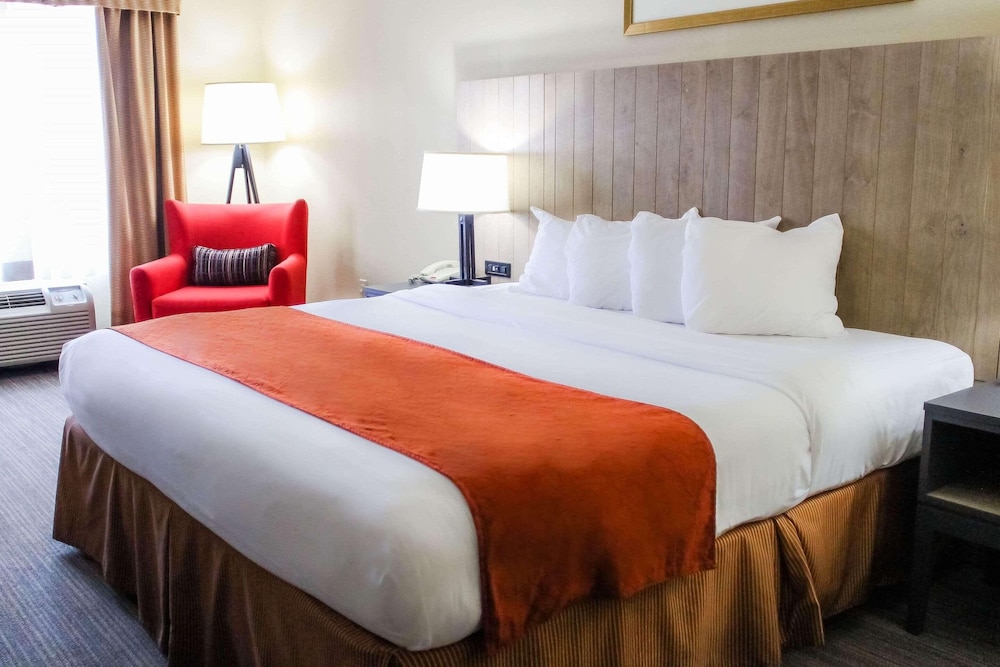 Studio Suite, 1 King Bed, Accessible, Non Smoking - Photo 2