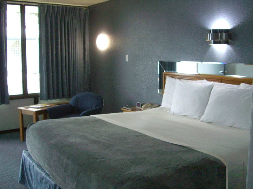 Standard Room, 1 King Bed photo 1