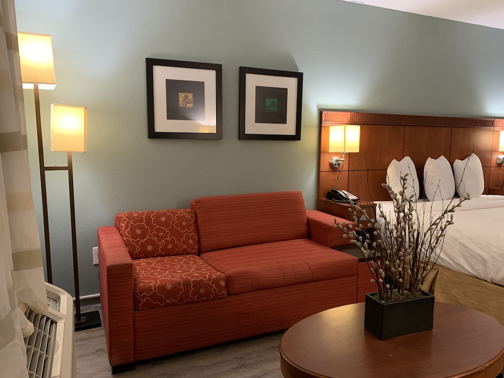 Premium Single Room