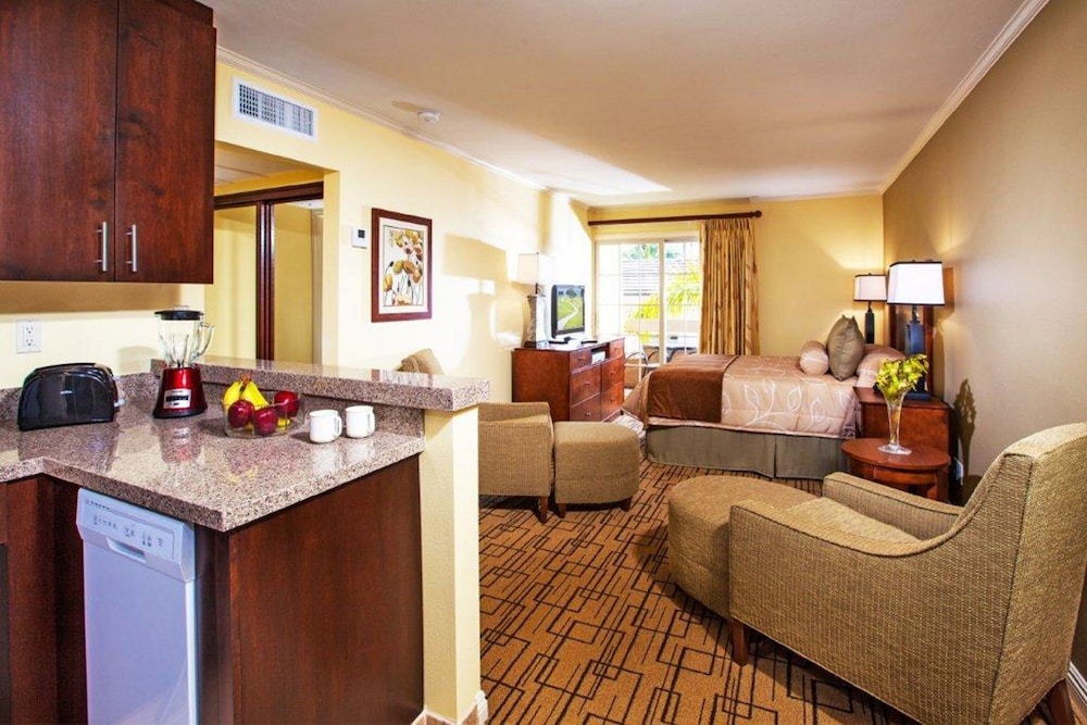 Luxury Studio, 1 Queen Bed