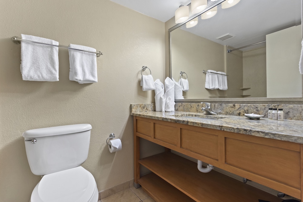 Deluxe Room - Photo 6