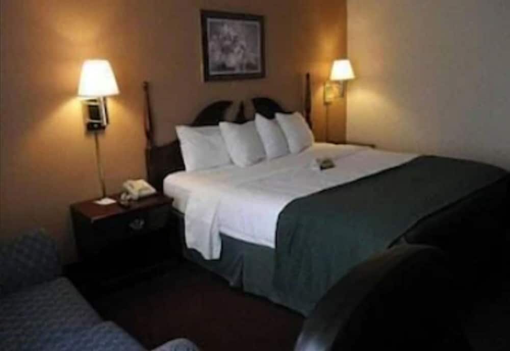 Deluxe Room, 1 King Bed, Non Smoking