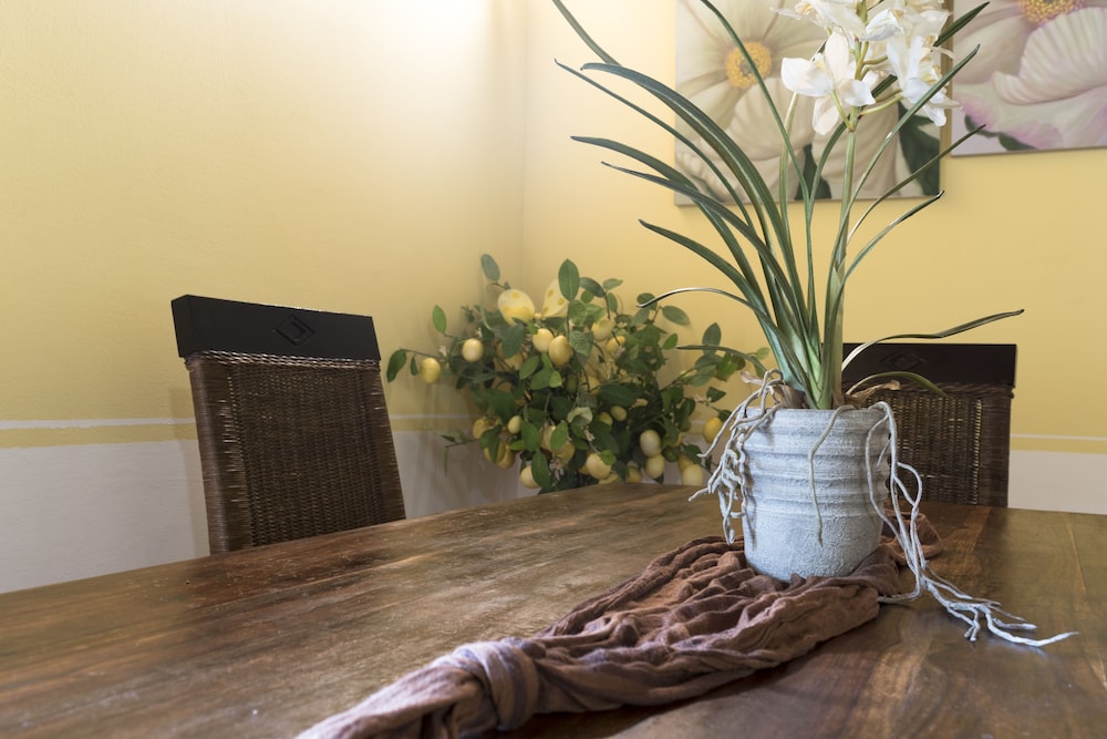 Comfort Apartment, 1 Bedroom, Kitchen, Garden View (Botticella) photo 3