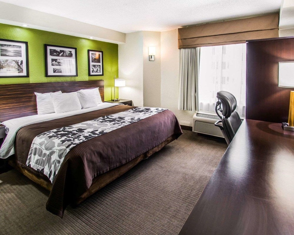 Standard Room, 1 King Bed, Non Smoking - Photo 2