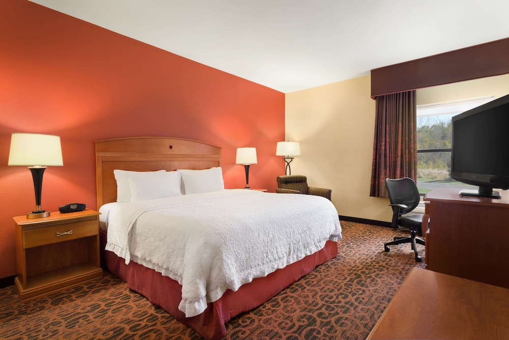 Room, 1 King Bed, Accessible, Non Smoking photo 1