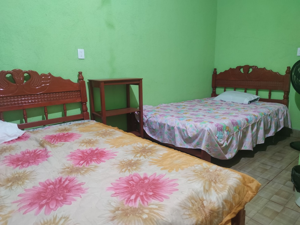 Exclusive Single Room photo 1
