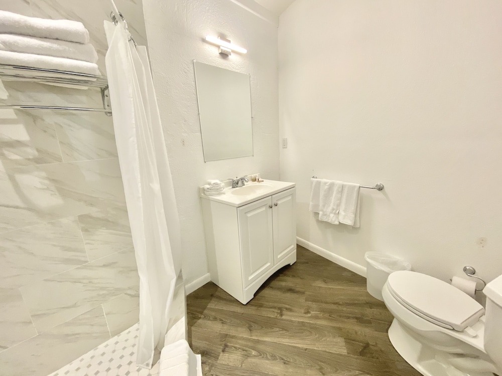 Luxury Studio, 1 King Bed, Refrigerator photo 2