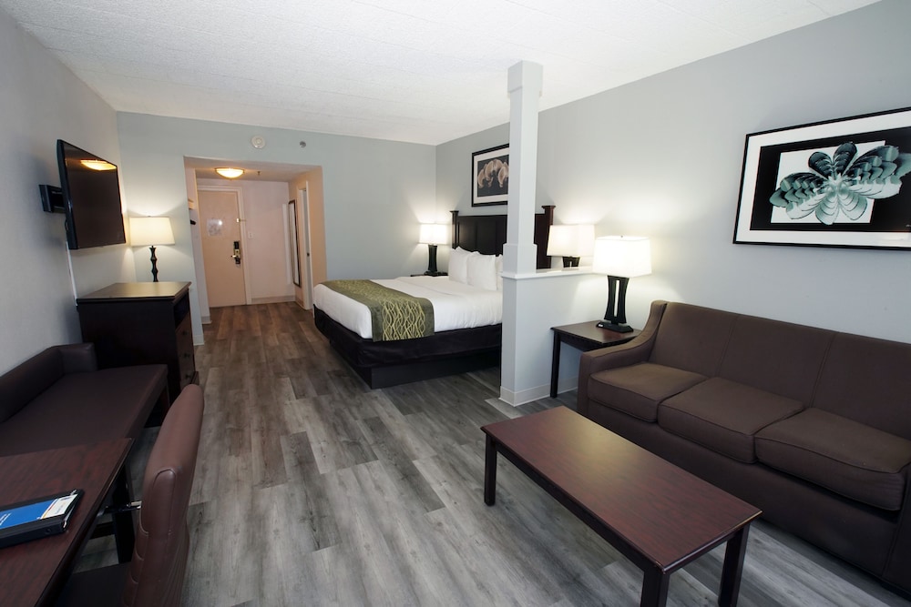 Suite, 1 King Bed, Non Smoking, Refrigerator & Microwave (Larger Room;with Sofabed) - Photo 5