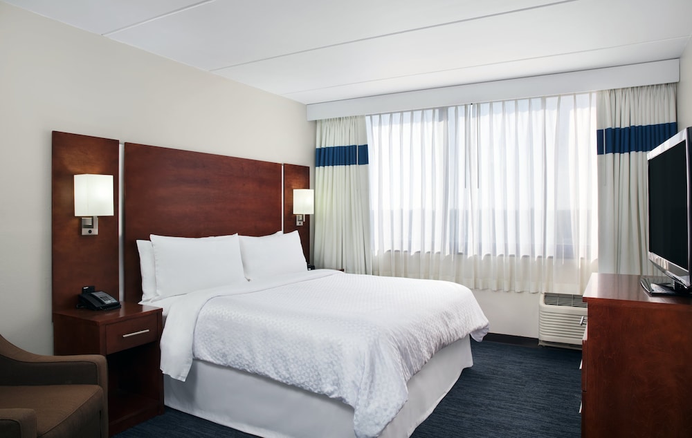Suite, 1 King Bed with Sofa bed - Photo 1