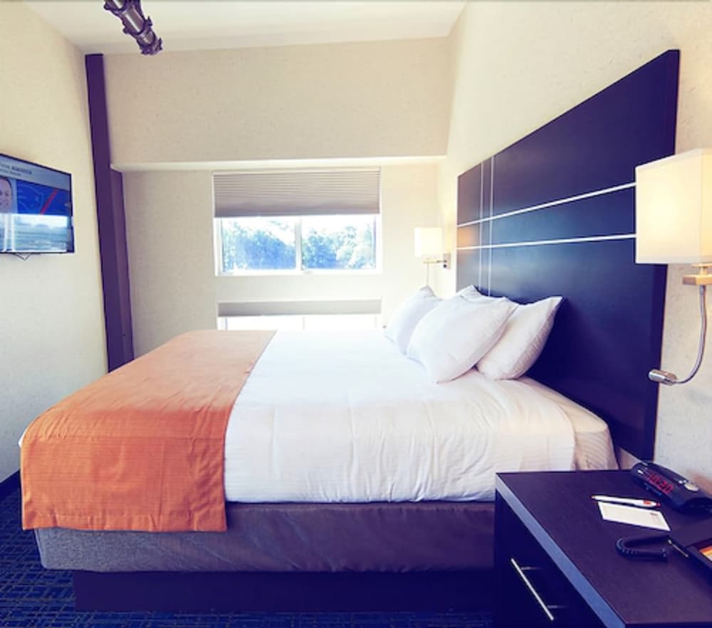 Standard Room, 1 King Bed photo 3