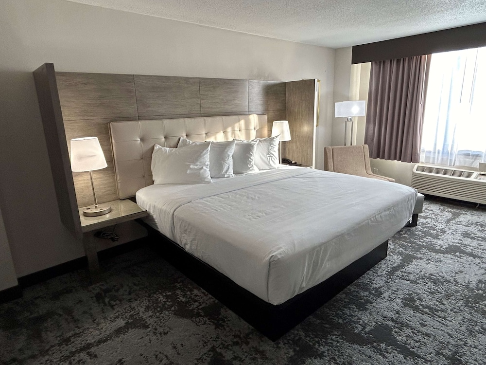 Suite, 1 King Bed, Non Smoking (With Single Sofabed) photo 1