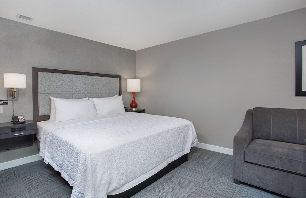 Room, 1 King Bed with Sofa bed, Accessible, Bathtub photo 1