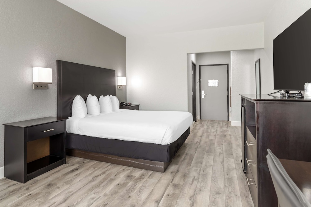 Standard Room, 1 King Bed, Non Smoking, Refrigerator & Microwave - Photo 2