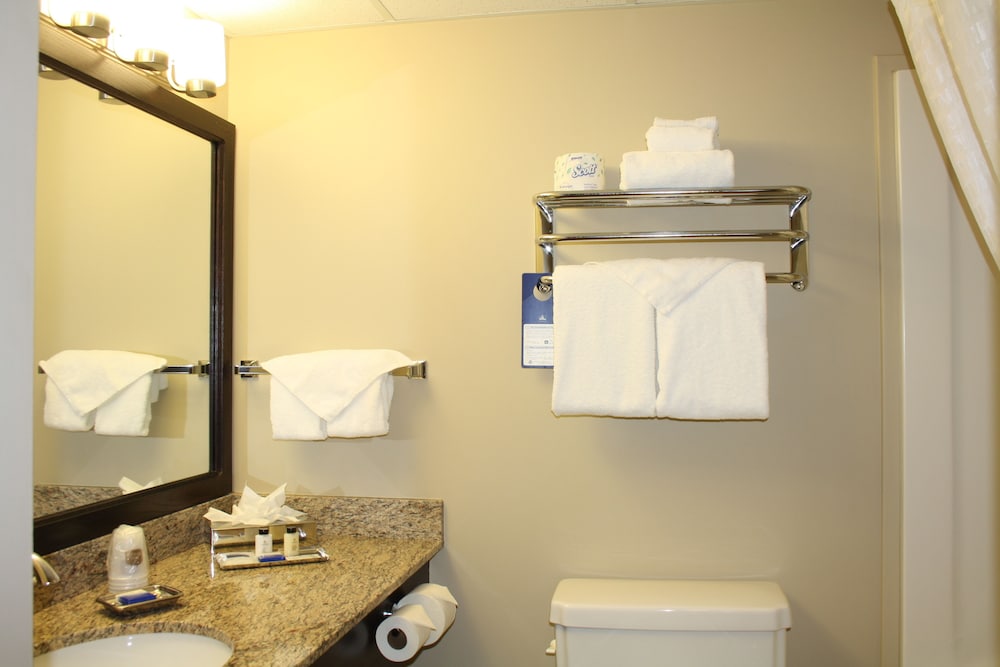 Suite, 1 King Bed, Non Smoking, Refrigerator & Microwave photo 3