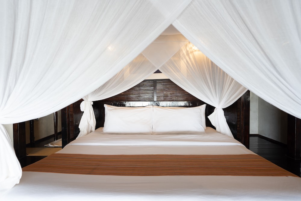 Designer Villa photo 1