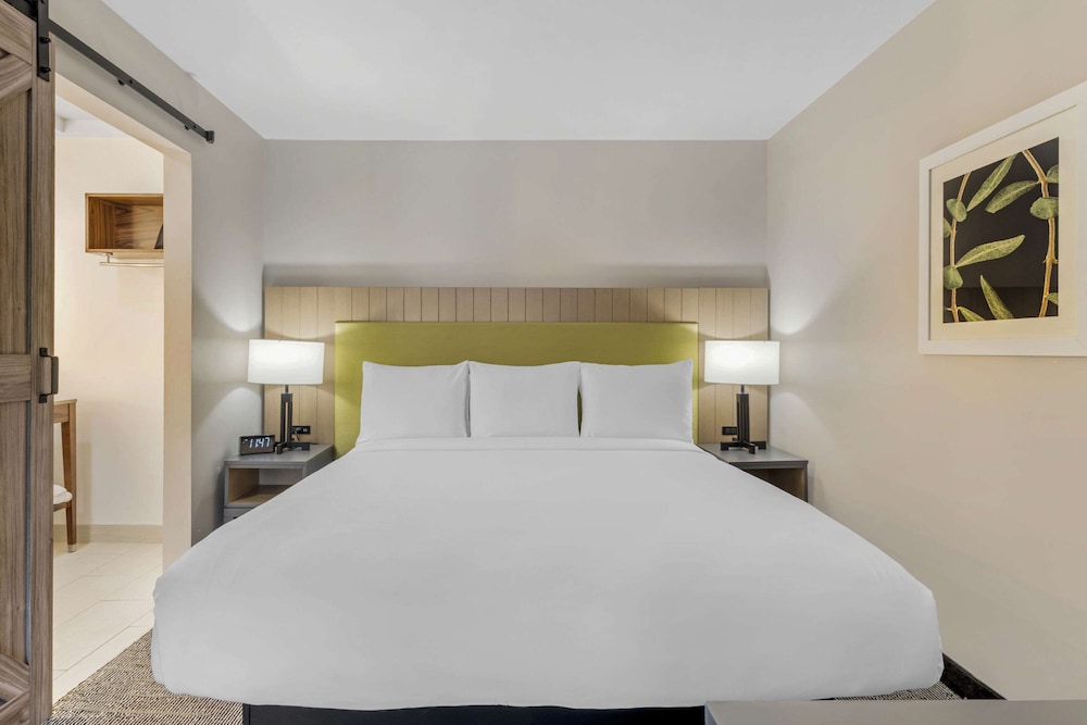 Suite, 1 Bedroom, Non Smoking photo 2