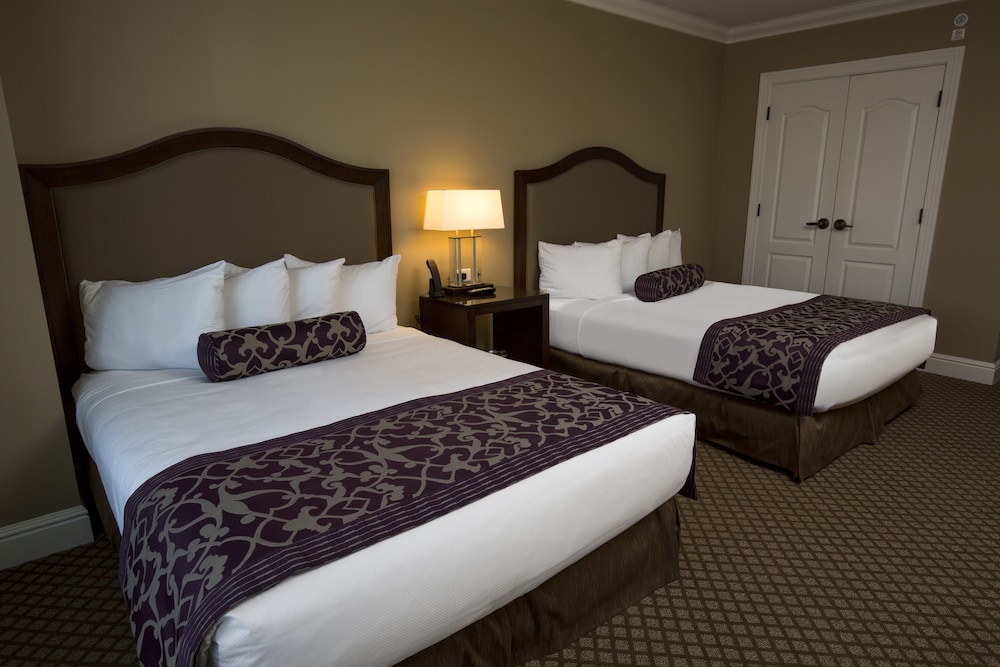 Room, 2 Queen Beds, Terrace photo 2