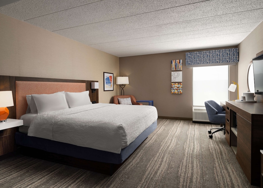 Studio Suite, 1 King Bed photo 2