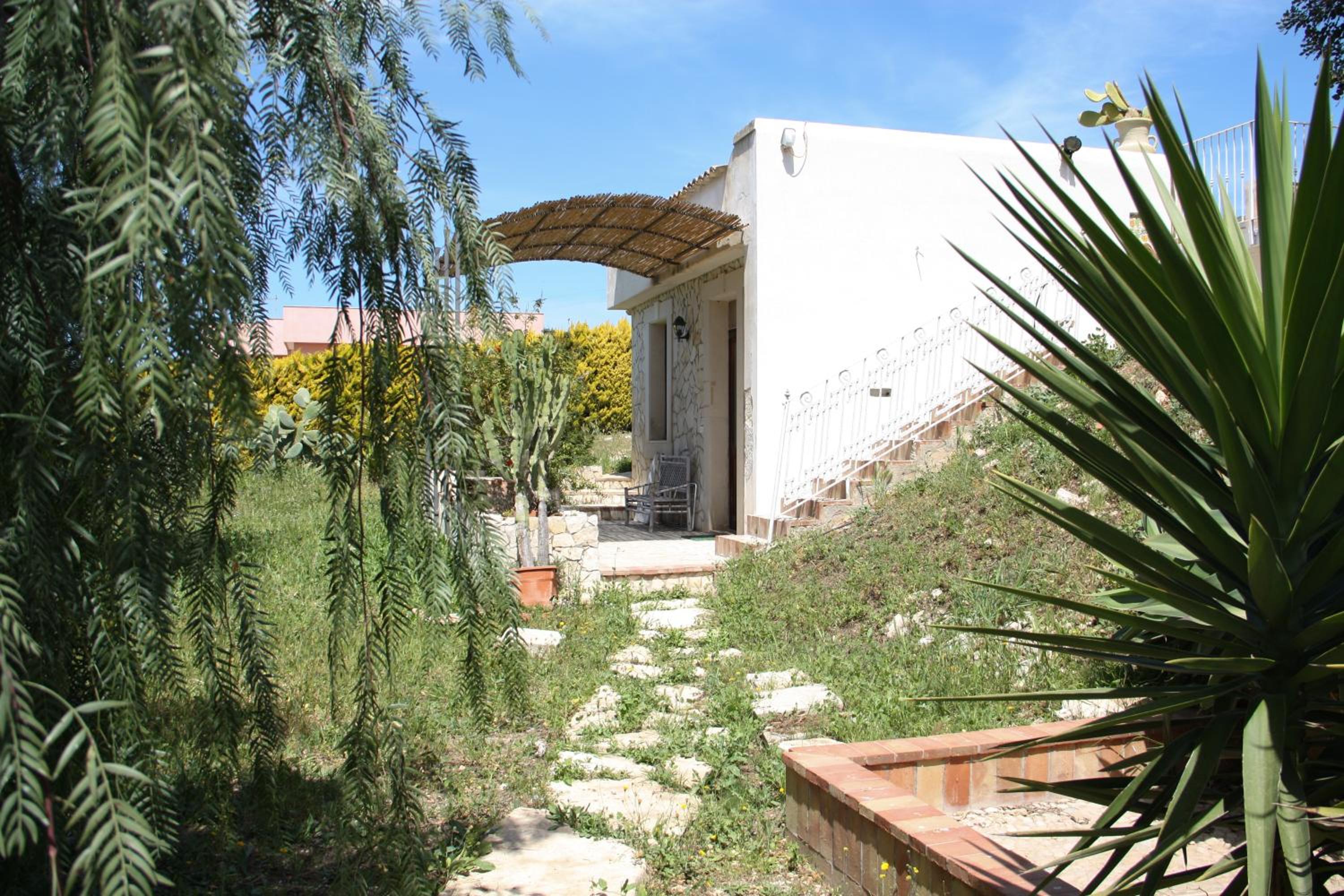 Studio with Terrace photo 1