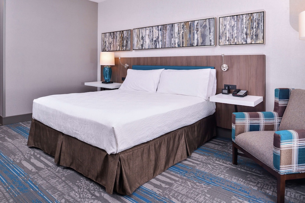 Room, 1 King Bed, Accessible - Photo 2